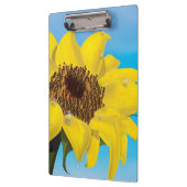 Sonnenblume im Sonnenschein Klemmbrett (Links)