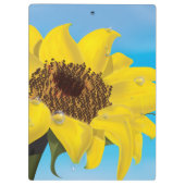 Sonnenblume im Sonnenschein Klemmbrett (Rückseite)