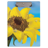 Sonnenblume im Sonnenschein Klemmbrett (Vorderseite)
