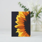 Sonnenblume im Studio 4 Postkarte (Stehend Vorderseite)