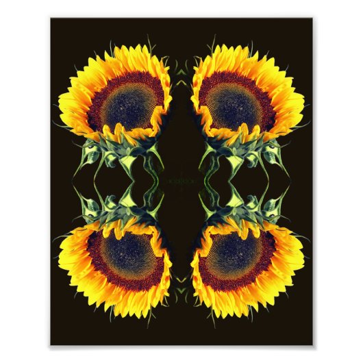 Sonnenblume in der Abstrakten Blume Sonnenschein A Fotodruck (Vorne)