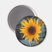 Sonnenblume in der Dämmerung Magnet (Vorderseite/Rückseite)