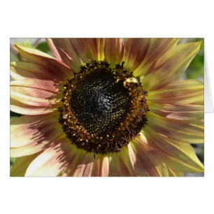 Sonnenblume in der Herbst-Karte