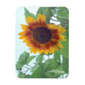 Sonnenblume in einem blauen blauen Himmel — Magnet (Vertikal)