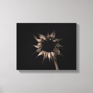 Sonnenblume in Sepia Kunstfotografie Einzigartig C Leinwanddruck