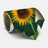Sonnenblume in voller Blüte Krawatte (Gerollt)