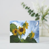 Sonnenblume in voller Blüte Postkarte (Stehend Vorderseite)