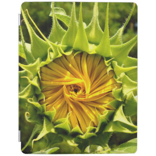 Sonnenblume iPad Hülle