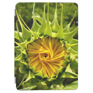 Sonnenblume iPad Air Hülle