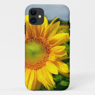 Sonnenblume iPhone 5 Fall Case-Mate iPhone Hülle