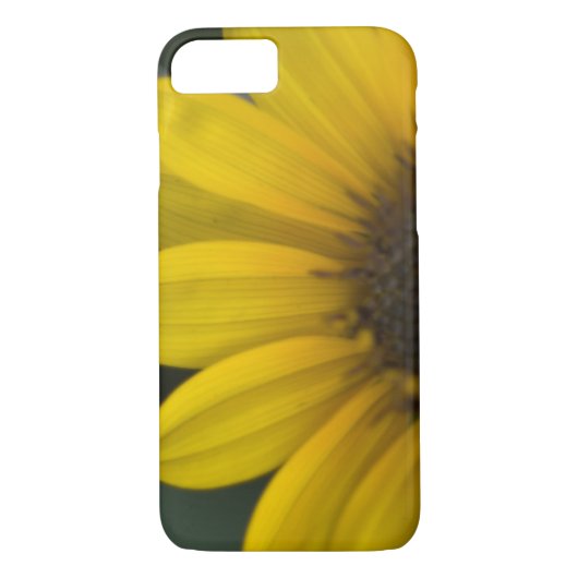 Sonnenblume iPhone 7 Fall Case-Mate iPhone Hülle (Rückseite)