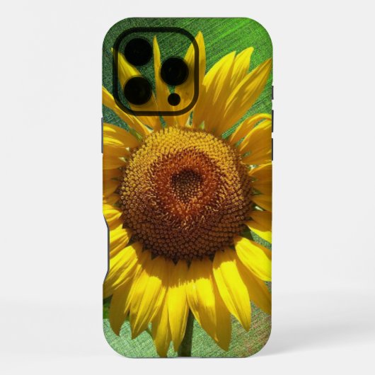 Sonnenblume iPhone Hülle (Rückseite)