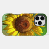 Sonnenblume iPhone Hülle (Rückseite (Horizontal))