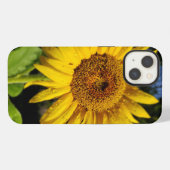Sonnenblume iPhone Hülle (Rückseite (Horizontal))