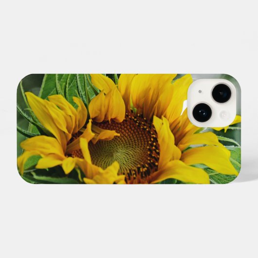 Sonnenblume iPhone Hülle (Rückseite (Horizontal))