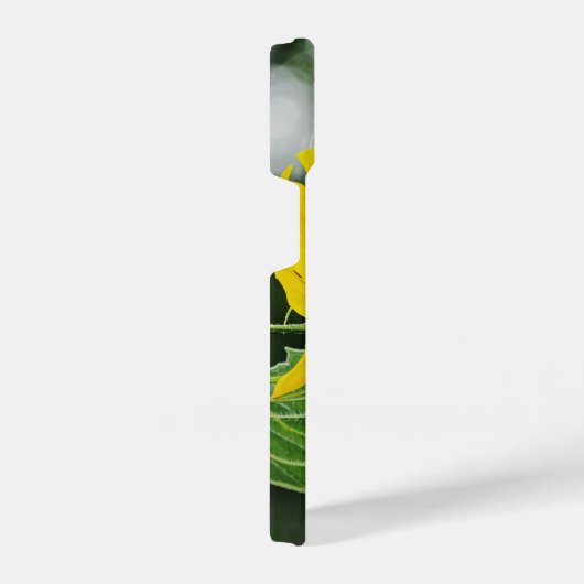 Sonnenblume iPhone Hülle (Rechte Seite)