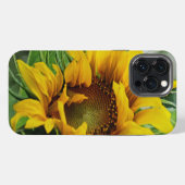 Sonnenblume iPhone Hülle (Rückseite (Horizontal))