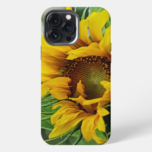Sonnenblume iPhone Hülle (Rückseite)