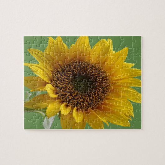 Sonnenblume Jigsaw Puzzle (Horizontal)