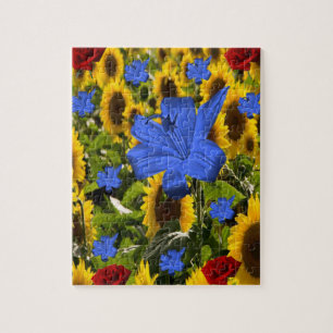 Sonnenblume Jigsaw Puzzle