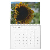 Sonnenblume Kalender (Jan 2027)