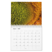 Sonnenblume Kalender (Mär 2027)