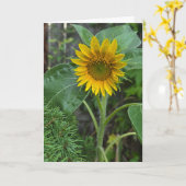 Sonnenblume Karte (Gelbe Blume)