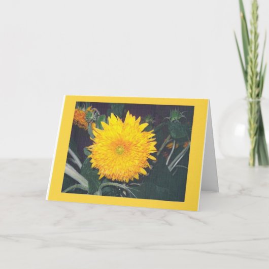 SONNENBLUME KARTE (Vorderseite)