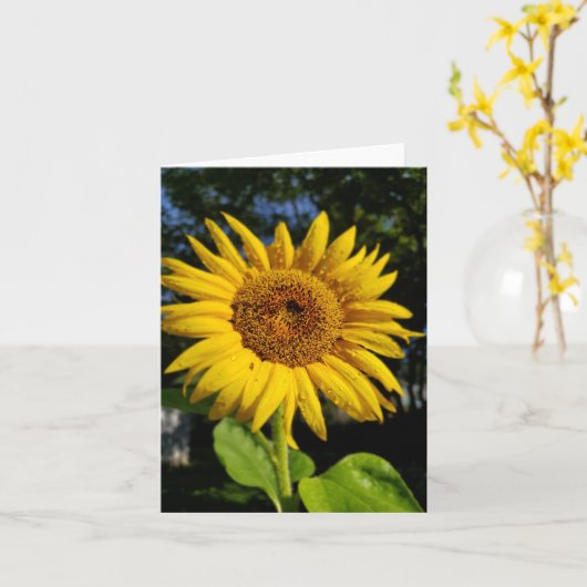 Sonnenblume Karte (Gelbe Blume)