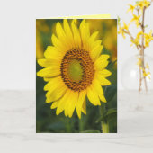 Sonnenblume Karte (Gelbe Blume)