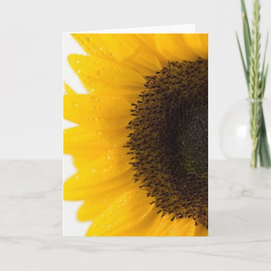 Sonnenblume Karte (Vorderseite)