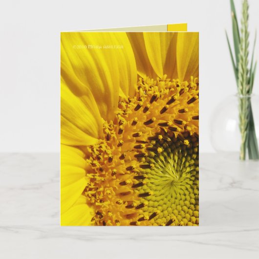 Sonnenblume Karte (Vorderseite)