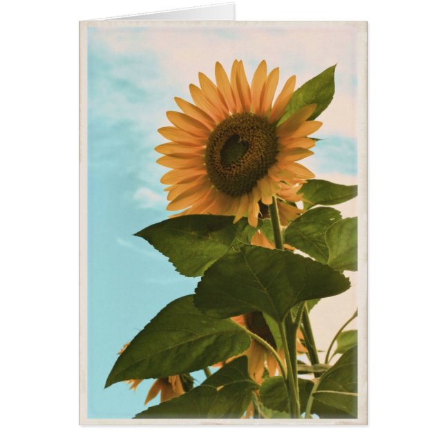 Sonnenblume-Karte - freier Raum (Vorne)