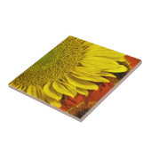 Sonnenblume-Keramik-Fliese Fliese (Seite)