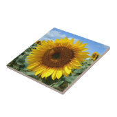 Sonnenblume-Keramik-Foto-Fliese Fliese (Seite)