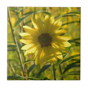 Sonnenblume Keramik Tile Fliese