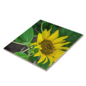 Sonnenblume-Keramikfliese Fliese (Seite)