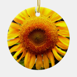 Sonnenblume Keramikornament