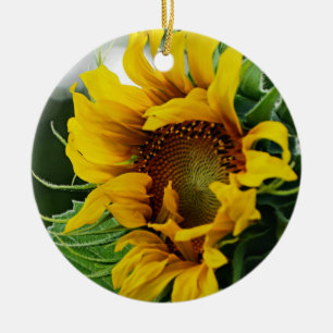 Sonnenblume Keramikornament