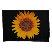 Sonnenblume