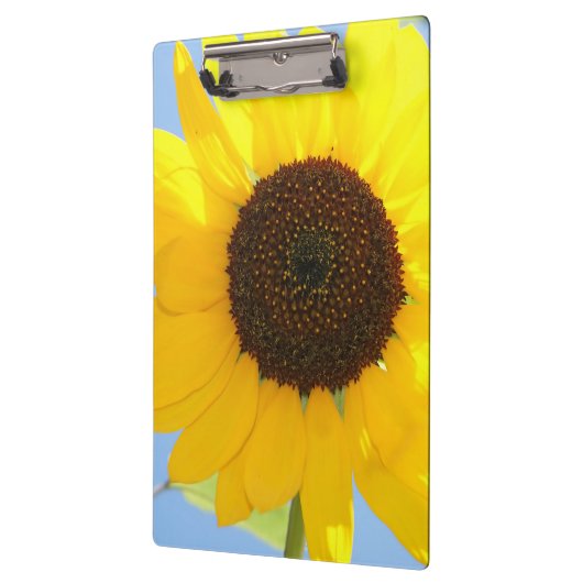 Sonnenblume Klemmbrett (Links)