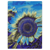 Sonnenblume Klemmbrett (Rückseite)