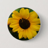 Sonnenblume-Knopf Button (Vorderseite)