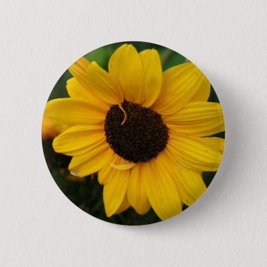 Sonnenblume-Knopf Button (Vorderseite)