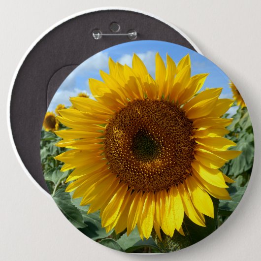 Sonnenblume Kolossal Rundgebirge Abzeichen Button (Vorne & Hinten)