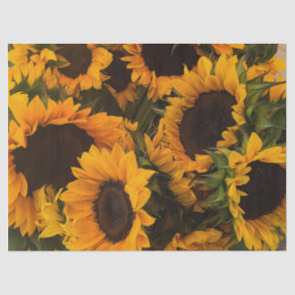 Sonnenblume-Korb Seidenpapier