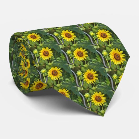 Sonnenblume Krawatte (Gerollt)