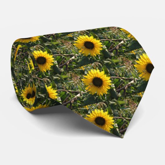 Sonnenblume-Krawatte Krawatte (Gerollt)
