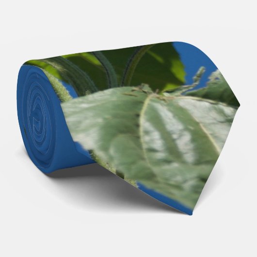 Sonnenblume-Krawatte Krawatte (Gerollt)