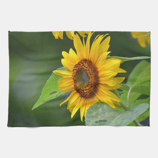 Sonnenblume Küchentuch (Horizontal)